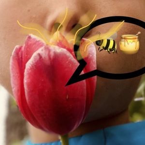 Meet your Posher, Liam